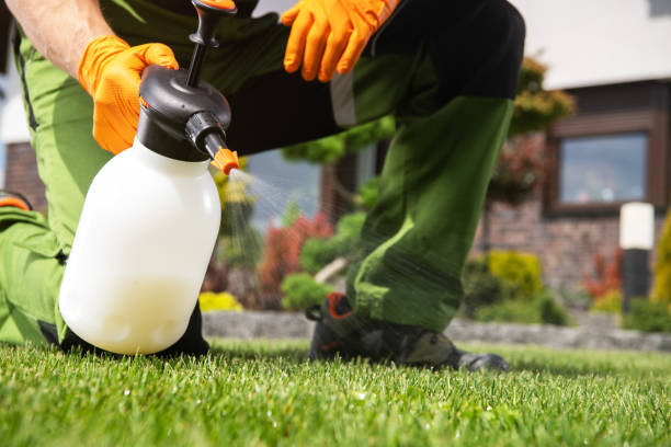 Best Affordable Pest Control Services  in Susan Moore, AL