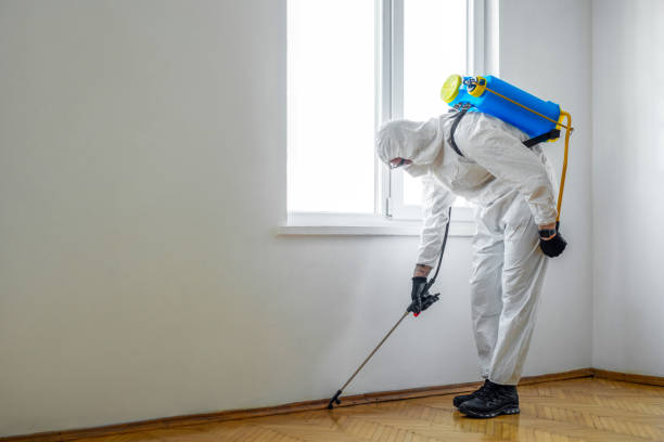 Best Bed Bug Extermination  in Susan Moore, AL
