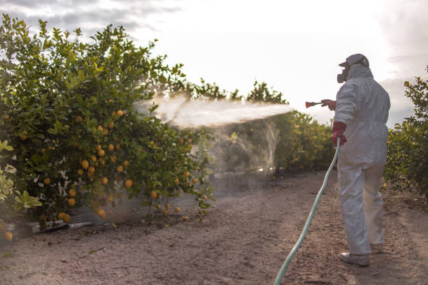  Susan Moore, AL Pest Control Pros